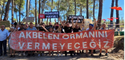 Akbelen Ormanı İçin Kritik Gün: 96 Acele Kamulaştırma Davası Bugün Danıştay'da!
