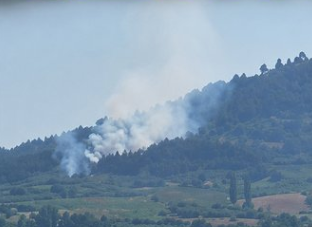 Bursa'da orman yangını! 