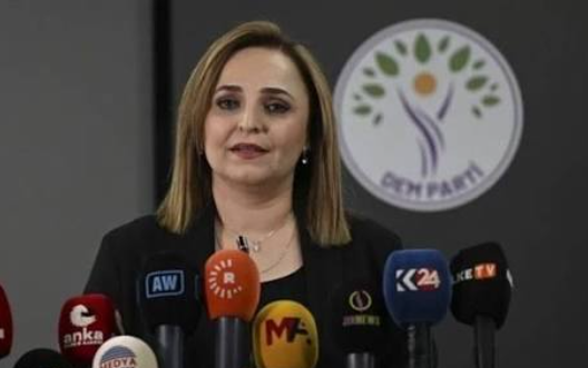 DEM Parti'den "Terörsüz Türkiye" Açıklaması