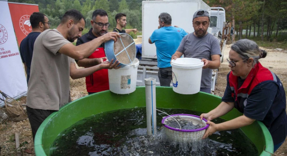 İç Sularda Büyük Seferberlik: Bolu Üretti, Ankara’nın Sularına Can Olacak