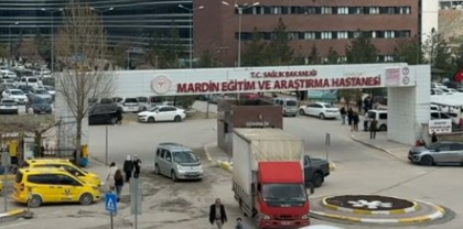 Mardin'de Çoğala Çifti Evlerinde Silahla Vurulmuş Halde Ölü Bulundu!