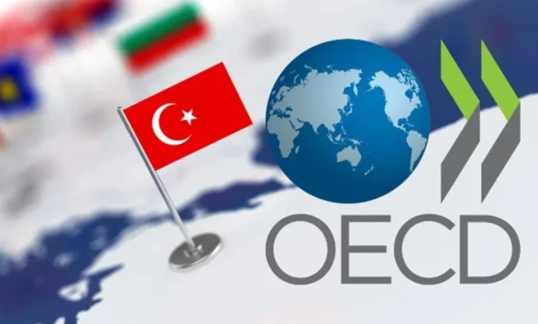 OECD’nin Ağustos 2026 enflasyon verileri açıklandı