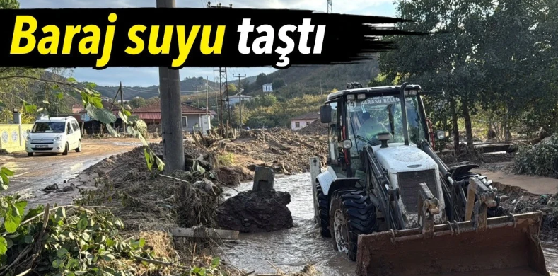 Sakarya'da Baraj Taştı, Mahalle Sular Altında Kaldı!
