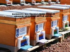 BAŞKENTLİ BAL ÜRETİCİLERİNE YÖNELİK ARICILIK AKADEMİSİ DEVAM EDİYOR