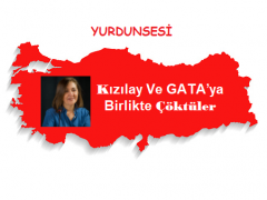 Serpil Yılmaz:Kızılay Ve GATA’ya Birlikte Çöktüler