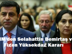 AİHM’den Selahattin Demirtaş ve Figen Yüksekdağ Kararı