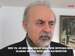 “HER YIL 40 BİN HEKTARLIK SAHA İZİN İRTİFAKA BAĞLI OLARAK ORMAN NİTELİĞİNİ KAYBEDİYOR