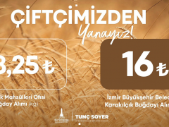 BAŞKAN TUNÇ SOYER’DEN ÇİFTÇİLERE KARAKILÇIK BUĞDAYI İÇİN FİYAT MÜJDESİ