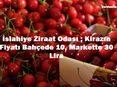 İslahiye Ziraat Odası ; Kirazın Fiyatı Bahçede 10, Markette 30 Lira