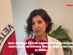 “BAZI KURBAN PAZARLARINDA ŞAP HASTALIĞINA RASTLANDI. VETERİNER HEKİM ONAYLI HAYVAN ALINMALI”