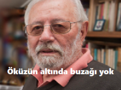 Özdemir İnce : Öküzün altında buzağı yok