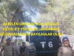 AKBELEN ORMANI’NDA GÖZALTI SAYISI 8’E YÜKSELDİ, JANDARMA MÜDAHALESİNDE BAYILANLAR OLDU