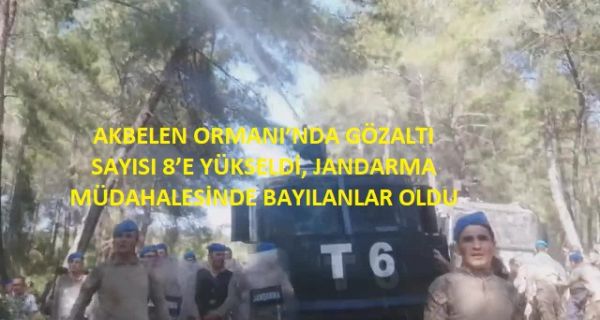AKBELEN ORMANI’NDA GÖZALTI SAYISI 8’E YÜKSELDİ, JANDARMA MÜDAHALESİNDE BAYILANLAR OLDU