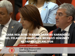 “ACABA HER SENE TEKRARLANAN BU KARADENİZ SEL FELAKETİ KONUSUNDA MERKEZİ HÜKÜMET NE YAPMAYI PLANLIYOR?