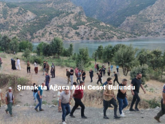 Şırnak’ta Ağaca Asılı Ceset Bulundu