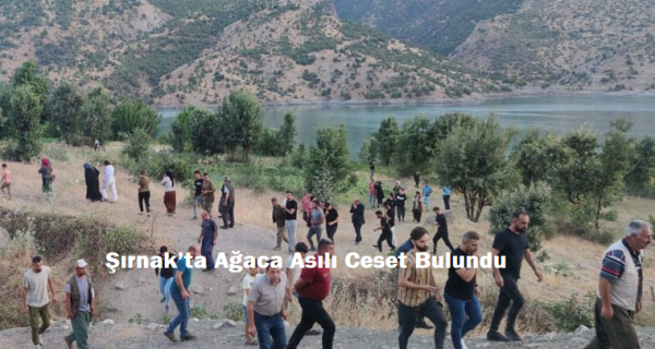 Şırnak’ta Ağaca Asılı Ceset Bulundu