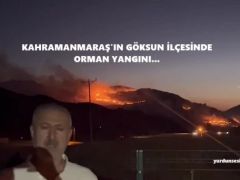 KAHRAMANMARAŞ’IN GÖKSUN İLÇESİNDE ORMAN YANGINI…