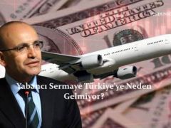 Yabancı Sermaye Türkiye’ye Neden Gelmiyor?