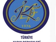 Türkiye Kadın Dernekleri Federasyonu, 2023 yılı kadın cinayetleri raporu