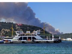 Çanakkale’de orman yangını