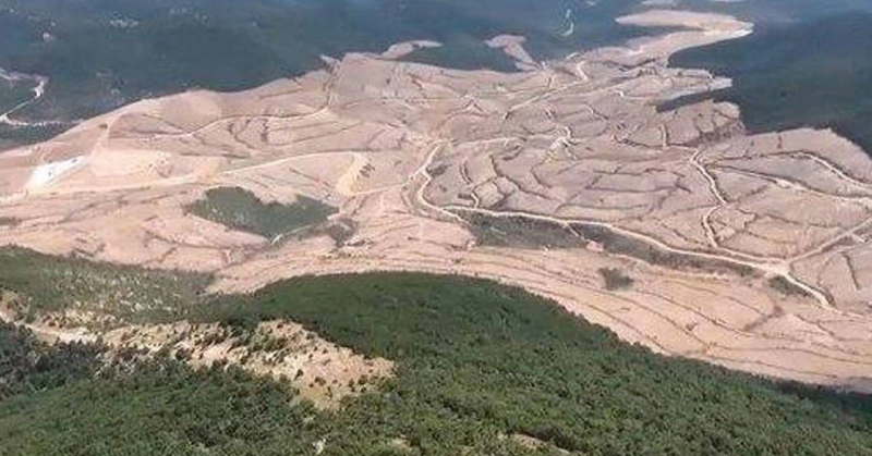 KAZDAĞLARI’INDA BİR ÖMRE BEDEL ON YILLIK TAHRİBAT