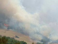 Balıkesir’deki orman yangını devam ediyor