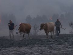 Ankara-Bolu sınırındaki yangın kontrol altına alındı…