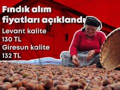 Fındık alım fiyatları açıklandı