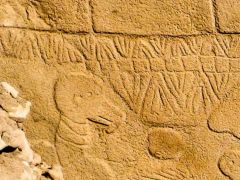 Göbeklitepe’deki çalışma 13 bin yıl önce insanların nasıl takvim tuttuğunu ortaya çıkardı