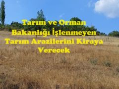 Tarım ve Orman Bakanlığı İşlenmeyen Tarım Arazilerini Kiraya Verecek