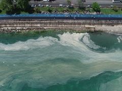 Marmara Denizi: Yeni tehdit hidrojen sülfür