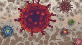 Maymun çiçeği virüsünde yeni varyant alarmı!