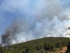 Muğla’da orman yangını: İki mahalle tahliye ediliyor