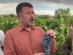 Veli Ağbaba: “Tarım ve Orman Bakanı maalesef tarımdan bihaber yaşıyor”
