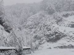 Artvin’de kar yağışı nedeniyle bazı yollar kapandı