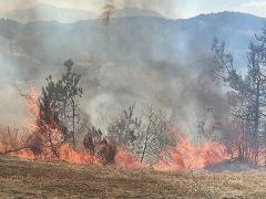 Kahramanmaraş’ta orman yangını üç gündür devam ediyor