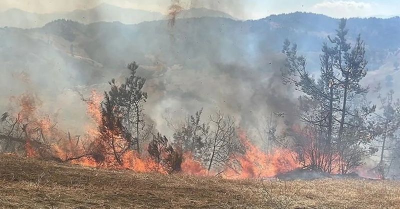 Kahramanmaraş’ta orman yangını üç gündür devam ediyor