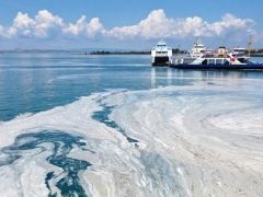 Marmara Denizi’nde Korkutan görüntü!