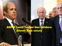 AKP’li Şamil Tayyar’dan iktidara Ahmet Türk sorusu