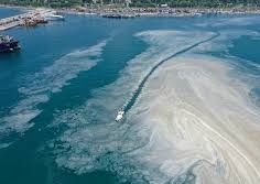 Marmara Denizi’nin korkulu rüyası olan müsilaj yeniden ortaya çıktı!