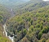 Kocaeli Valiliği, Orman ve makilik alanlara giriş yasağı!