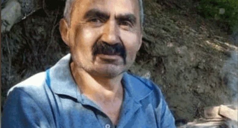 Üzerine ağaç devrilen işçi kurtarılamadı!
