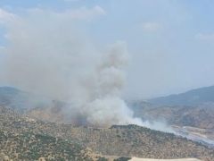 Aydın’da zirai alan yangını, köyler tahliye edilmeye başlandı