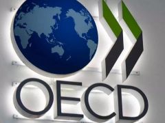 OECD Türkiye büyüme tahminini düşürdü!