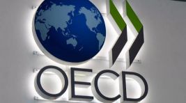 OECD Türkiye büyüme tahminini düşürdü!