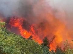 Türkiye’nin ciğerleri yanıyor, Son iki günde 150 yangın çıktı!