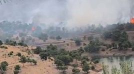 Adıyaman’da orman yangını…