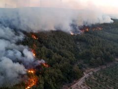 Orman yangını Şarköy’de başladı, yerleşim yerlerine ilerliyor!