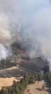 Balıkesir Dursunbey’de yangın ormana sıçradı!