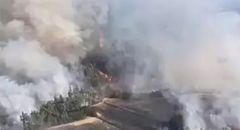 Balıkesir Dursunbey’de yangın ormana sıçradı!
